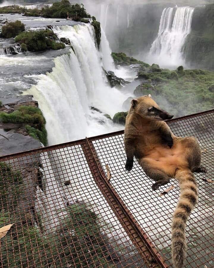 Iguazu Urban Hotel Express Puerto Iguazú Dış mekan fotoğraf